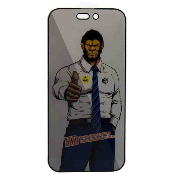 Захисне скло Privacy 5D Anti-Static (тех.пак) для Apple iPhone 13 / 13 Pro / 14 / 16e (6.1")